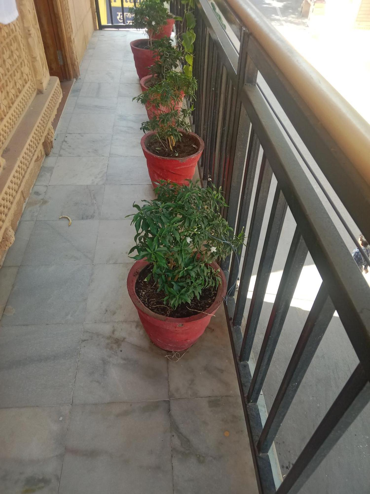 Hotel Neem Haveli Jaisalmer Exterior foto